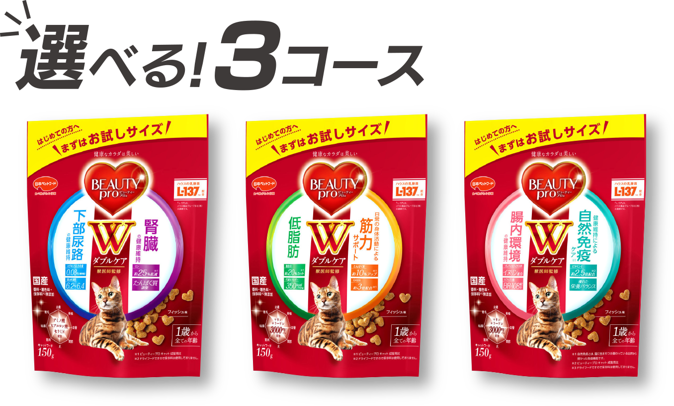 選べる3コース
