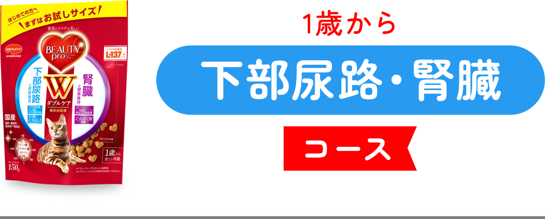 ビューティープロ キャットWケア　下部尿路・腎臓